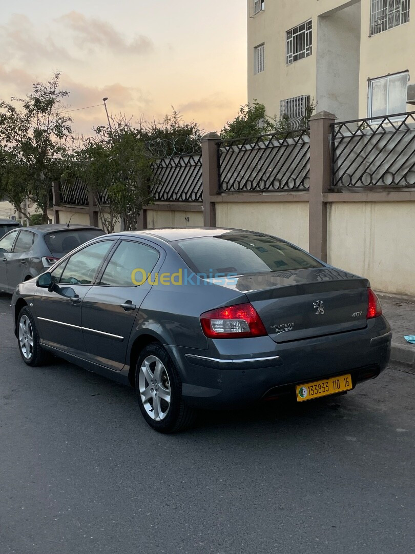 Peugeot 407 2010 