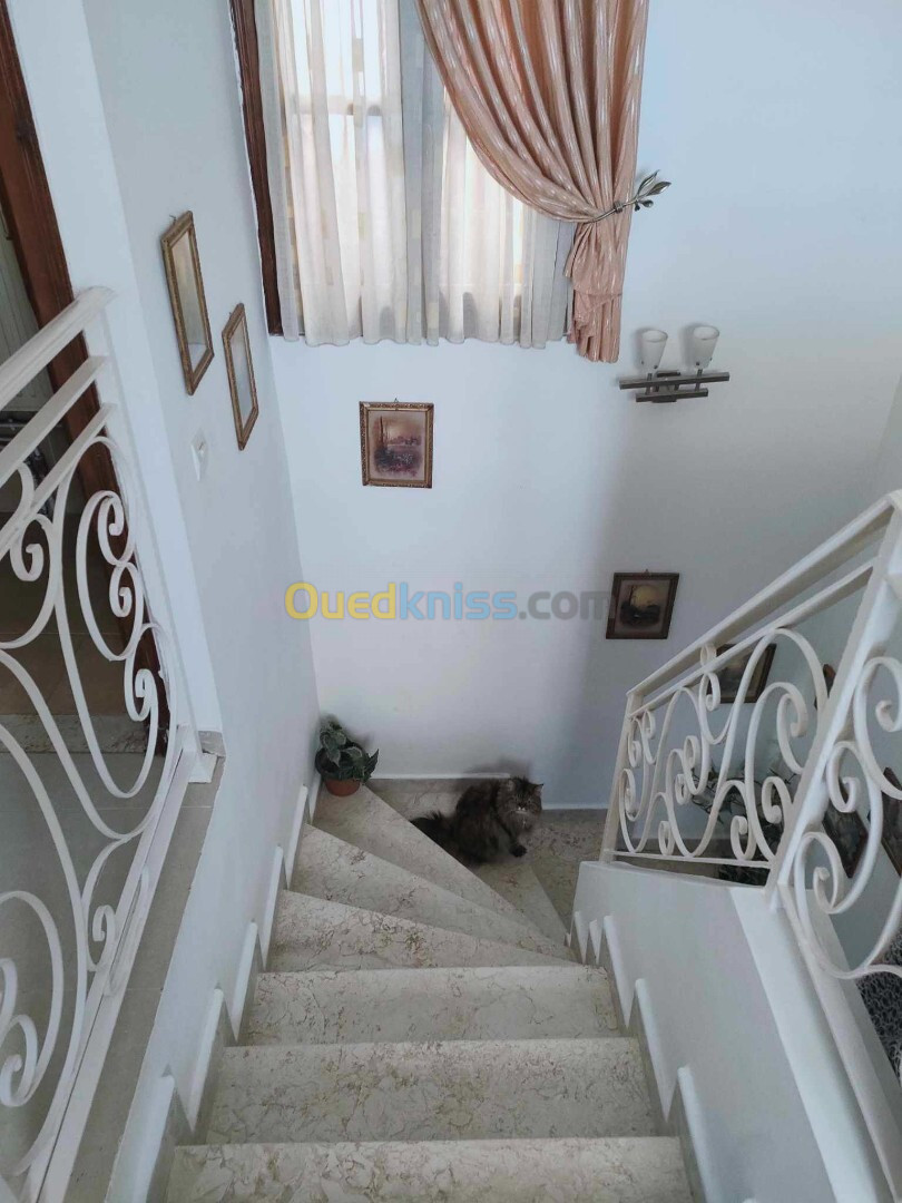 Vente Duplex F5 Alger Dely brahim