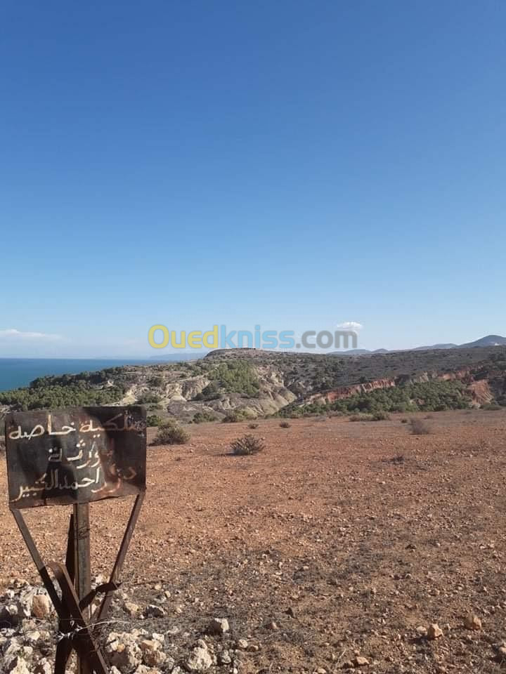 Vente Terrain Tlemcen Msirda fouaga