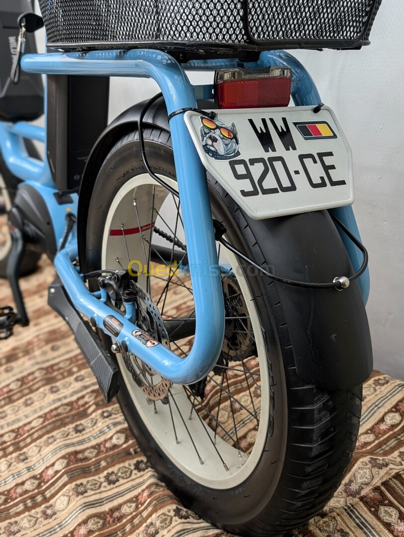 Vélo électrique cargo fat bike 