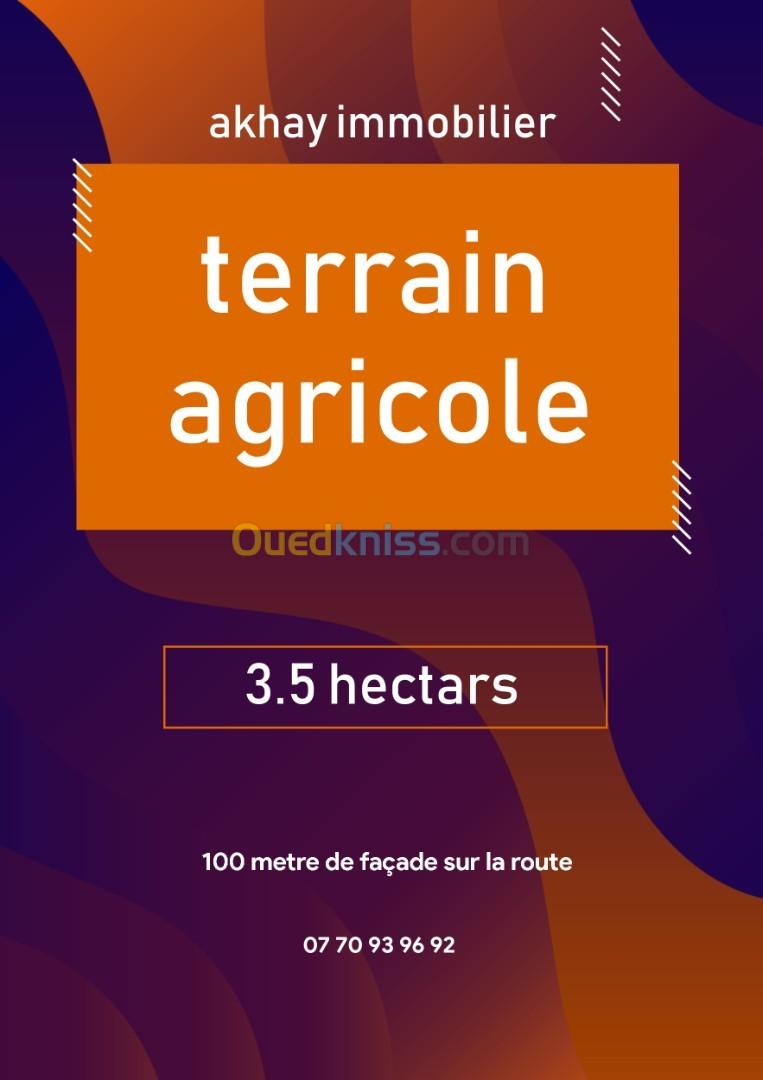 Vente Terrain Tizi Ouzou Tizi ouzou