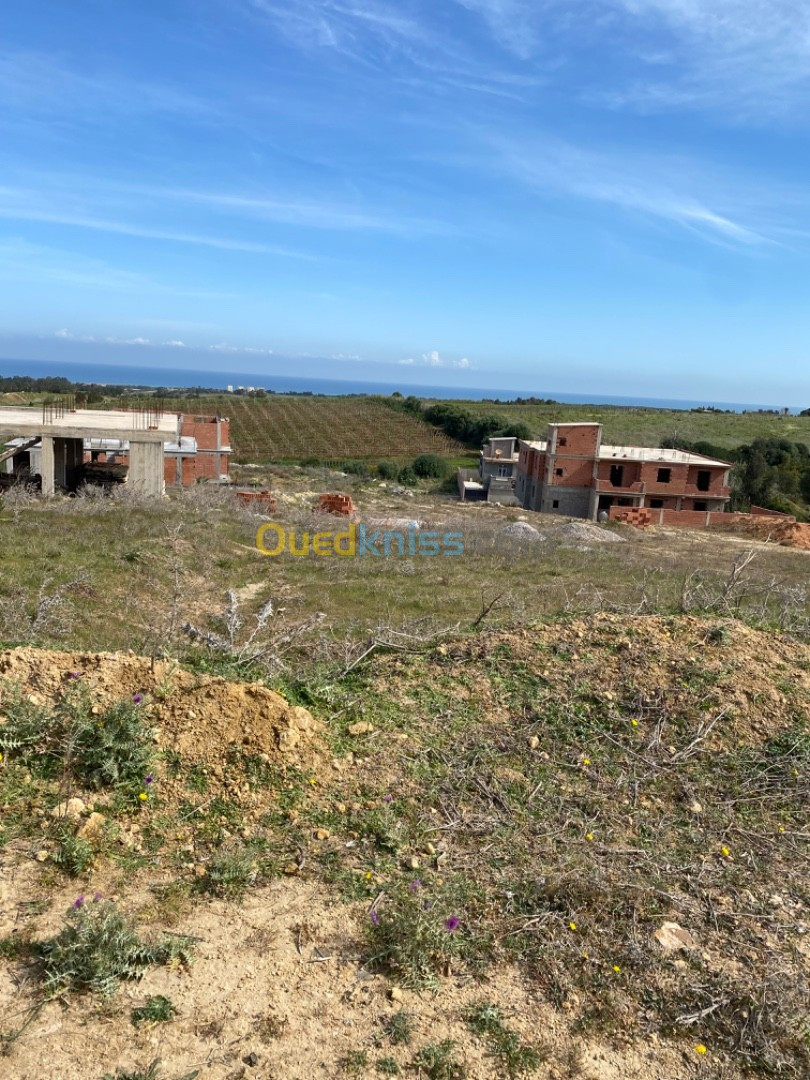 Vente Terrain Boumerdès Zemmouri