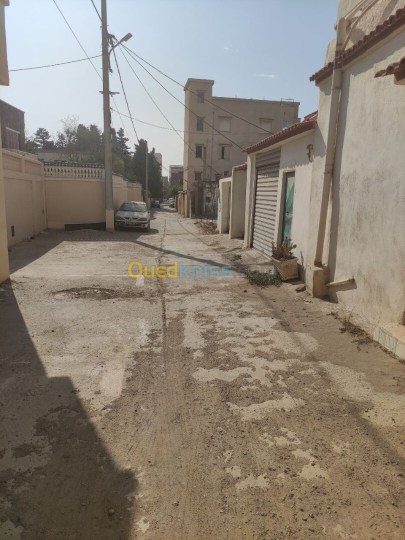 Vente Terrain Alger Bordj el bahri