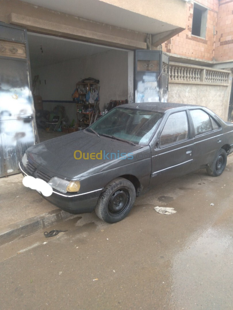 Peugeot 405 1989 GL