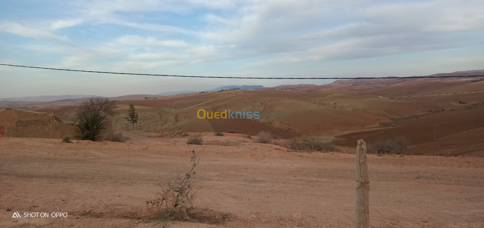 Vente Terrain Relizane Ammi moussa