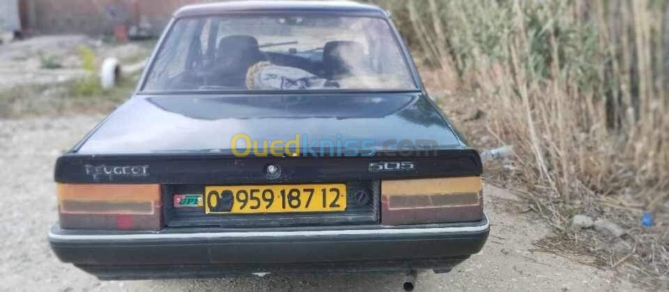 Peugeot 505 1987 505