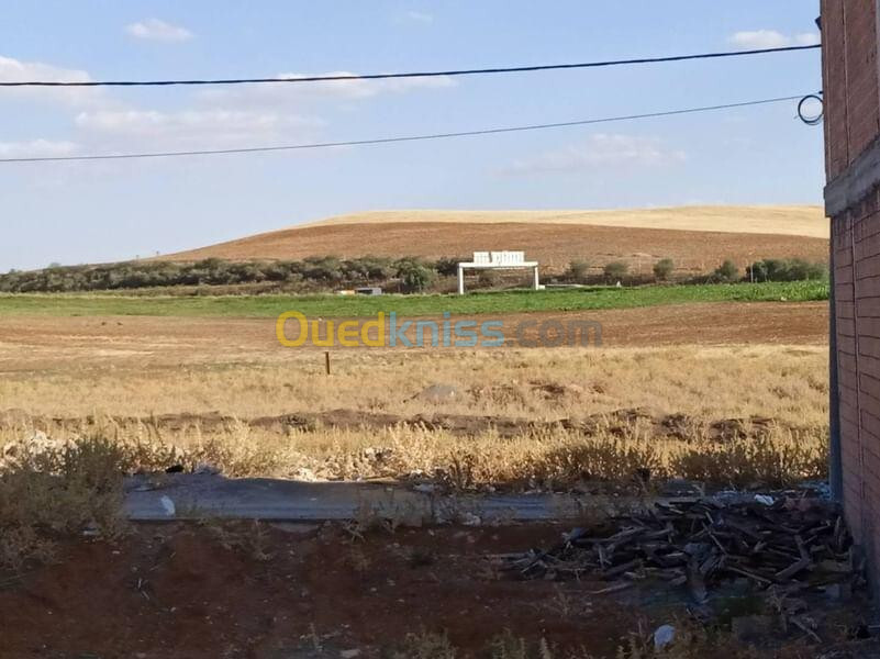 Vente Terrain Sétif Setif