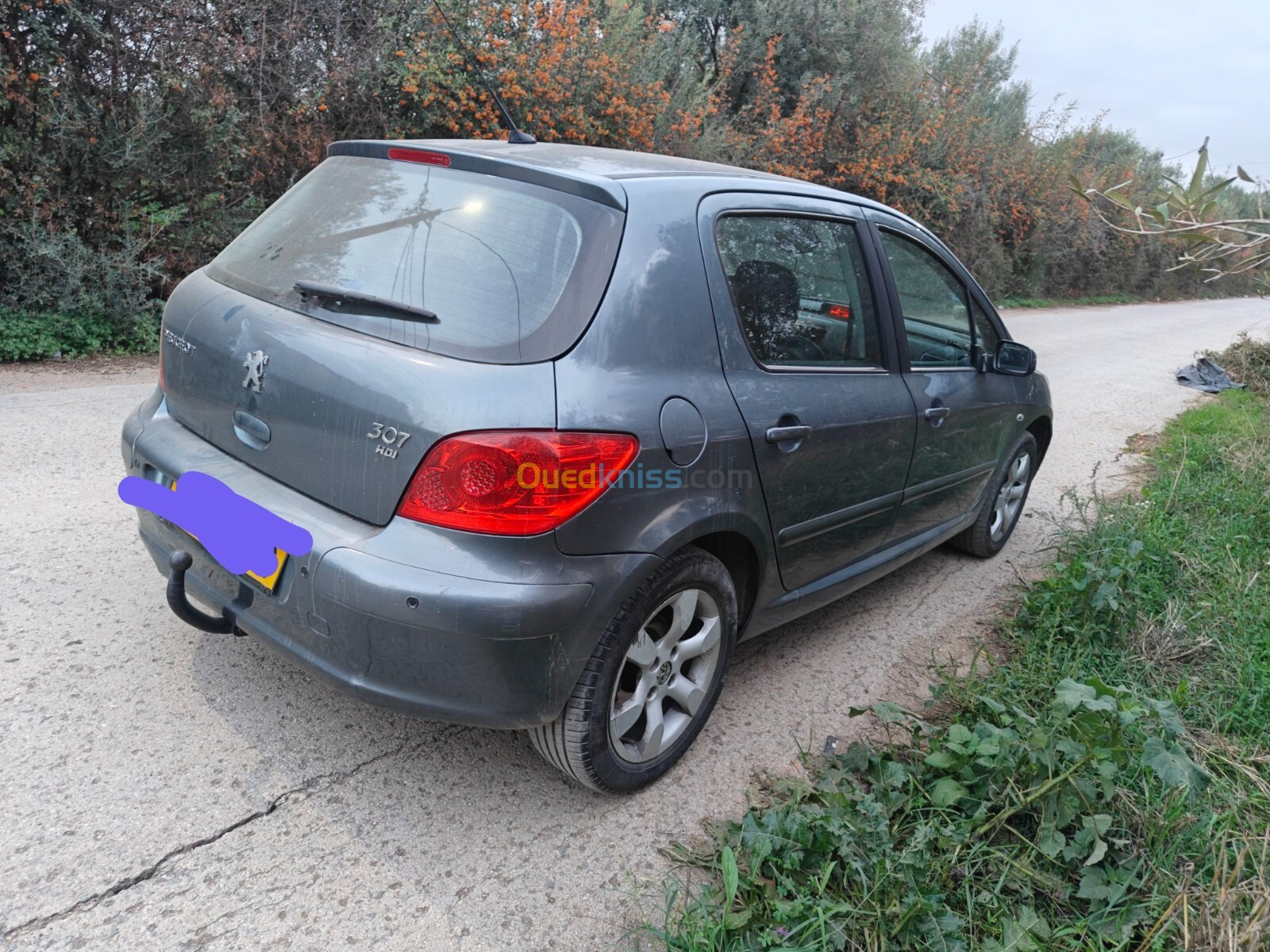 Peugeot 307 2003 307