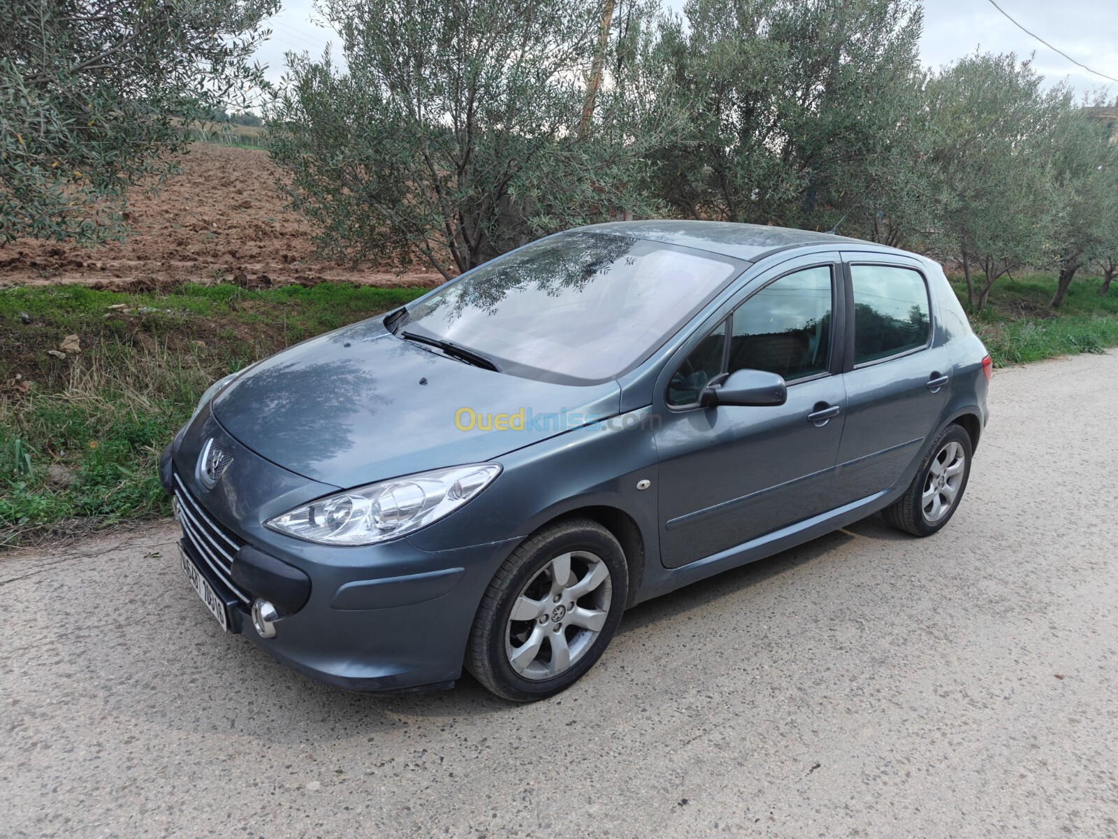 Peugeot 307 2003 307