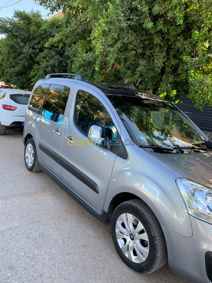 Citroen Berlingo 2019 Berlingo