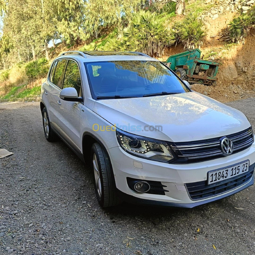 Volkswagen Tiguan 2015 Cup