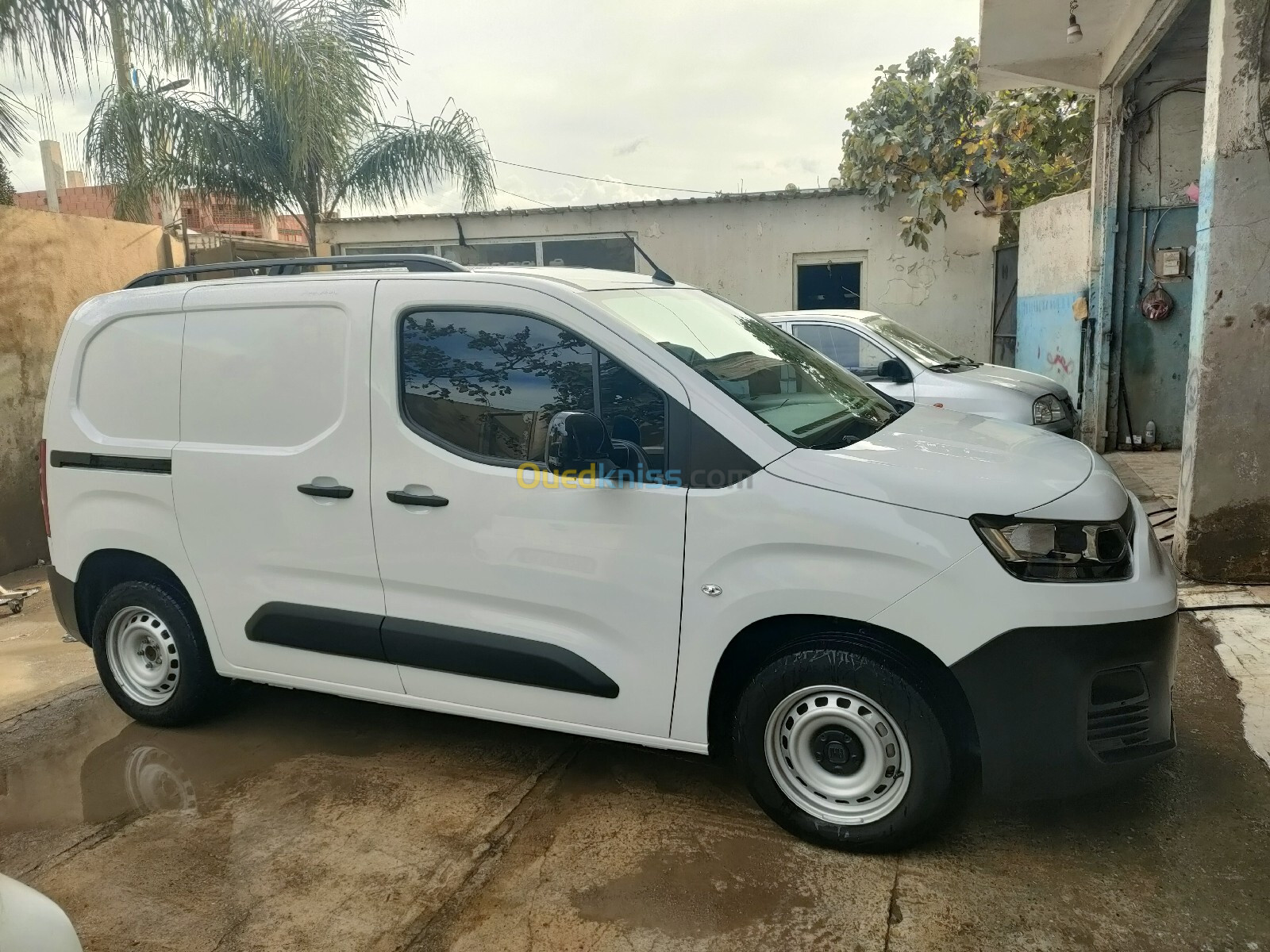 Fiat Doblo 2023 Doblo