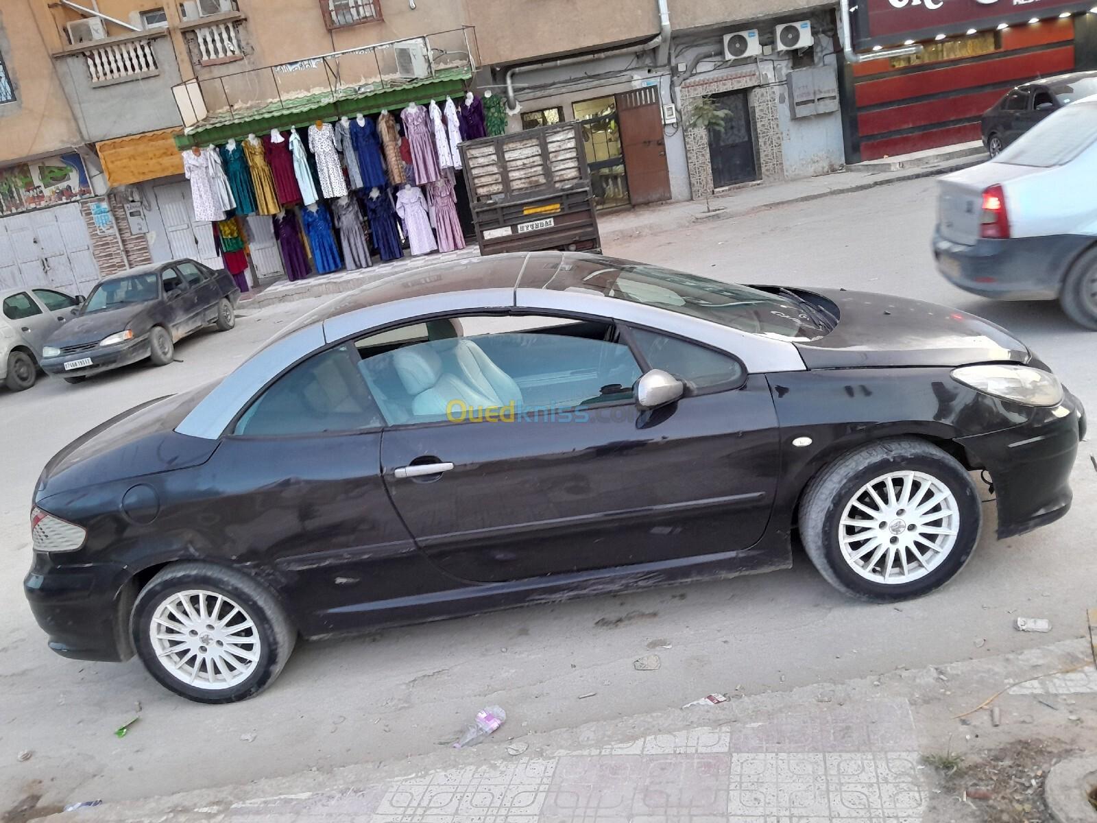 Peugeot 307 CC 2007 307 cc