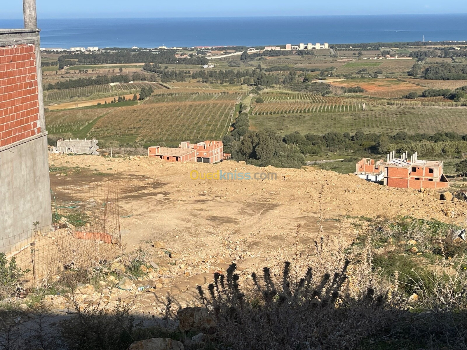 Vente Terrain Boumerdès Zemmouri