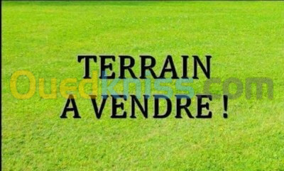 Vente Terrain Alger El achour