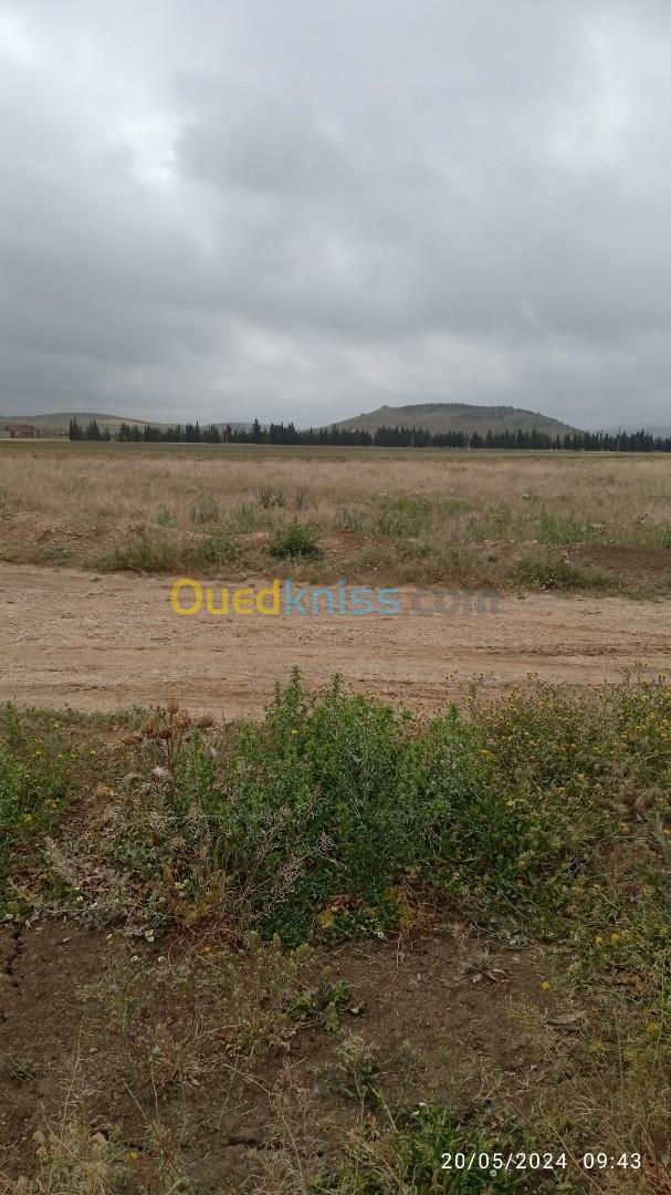 Vente Terrain Batna Tazoult