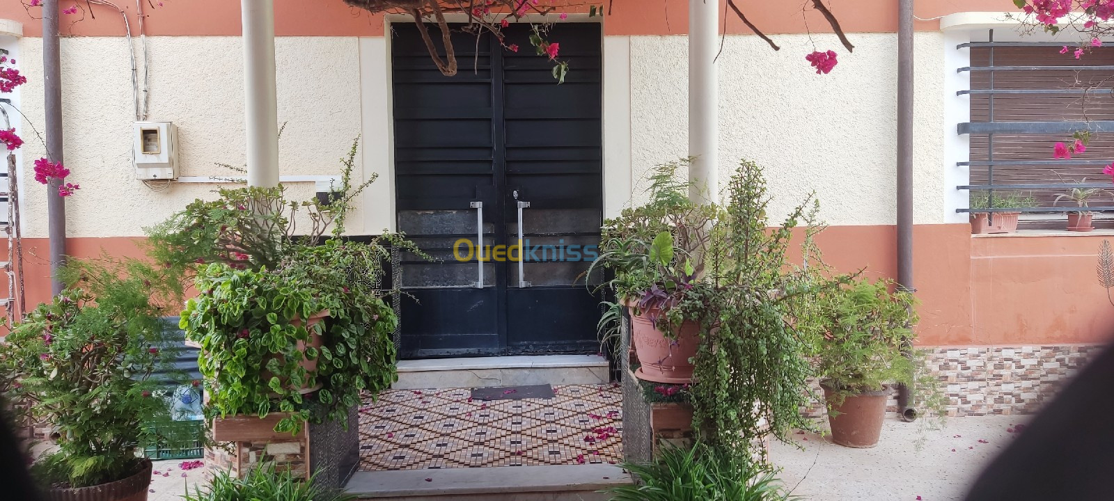 Vente Villa Tlemcen Remchi