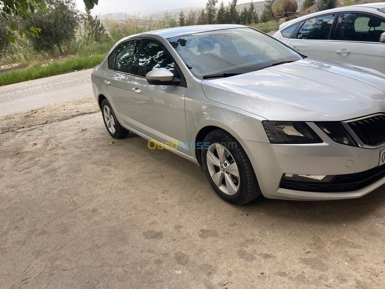 Skoda Octavia 2019 Business