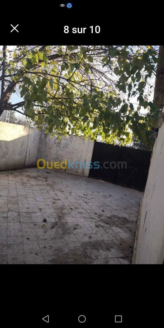 Location Niveau De Villa F3 Blida Boufarik