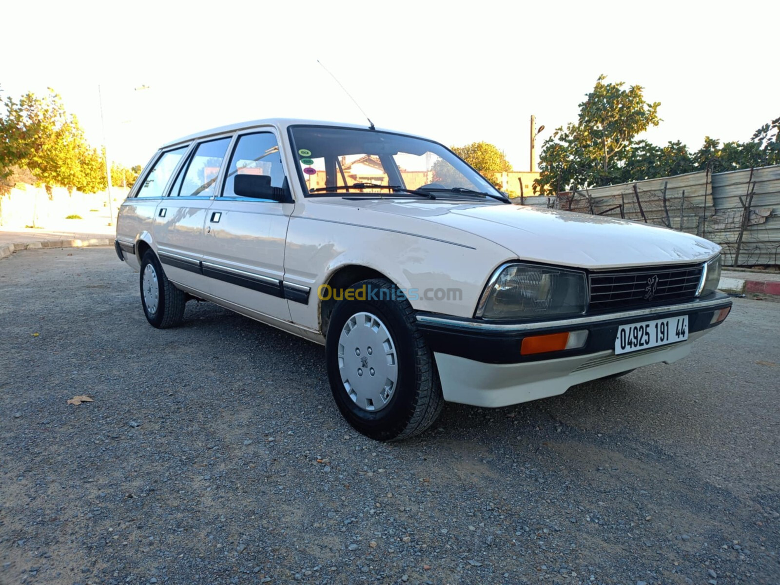 Peugeot 505 1991 505