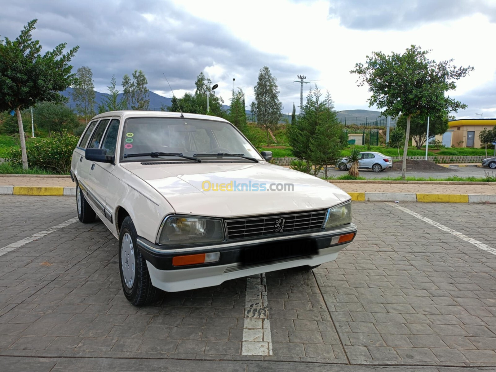 Peugeot 505 1991 505