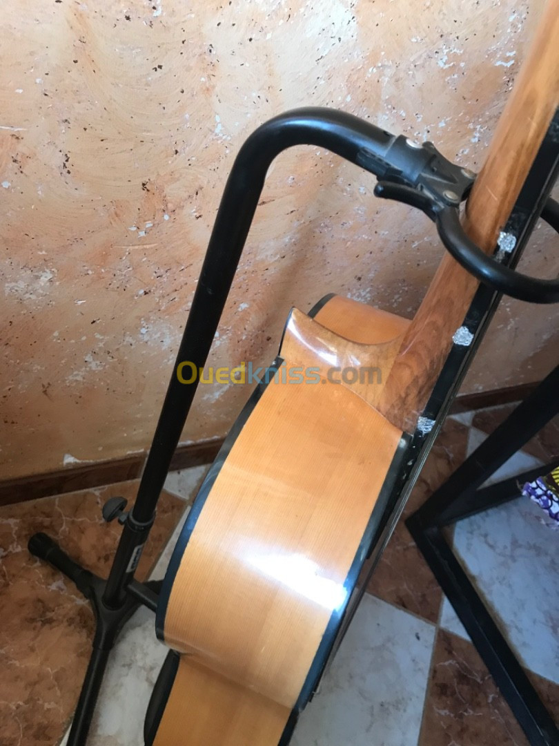 Guitare plus capot et porte guitare 