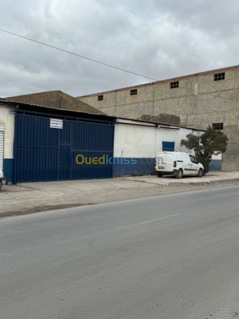 Location Hangar Sétif Mezloug