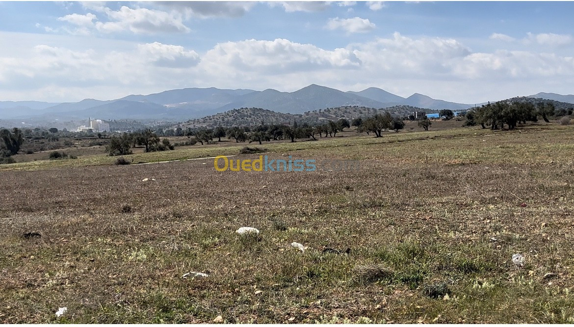 Vente Terrain Bouira El adjiba