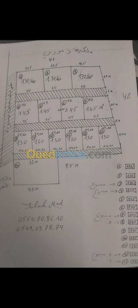 Vente Terrain Tlemcen Ghazaouet