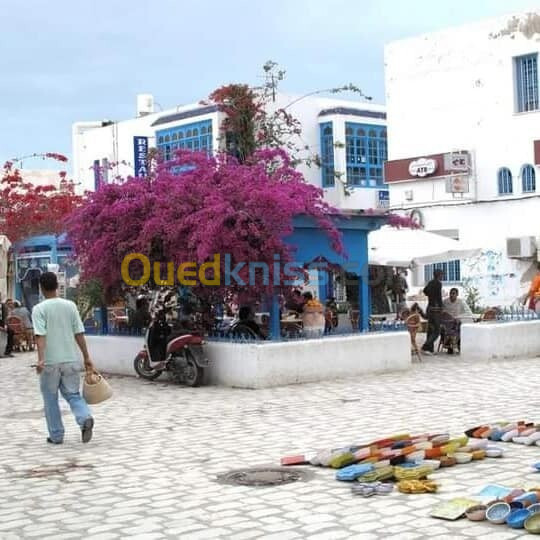 voyage organise djerba octobre 