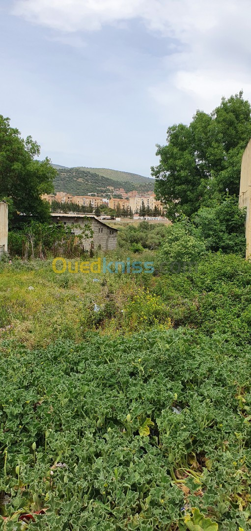 Vente Terrain Bejaia El kseur