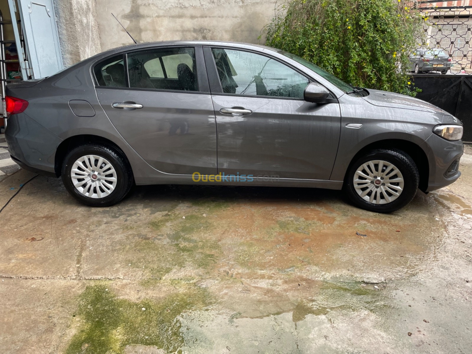 Fiat Tipo 2023 