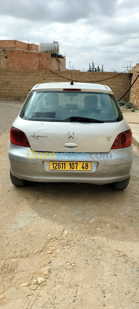 Peugeot 307 2007 307