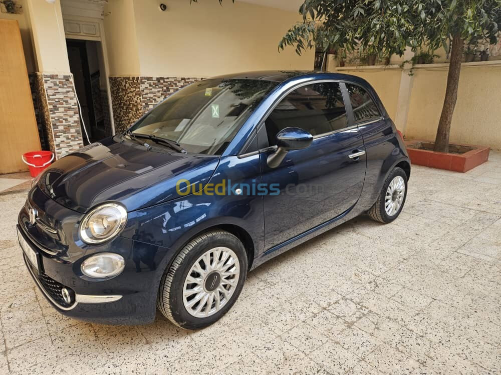 Fiat 500 2024 500