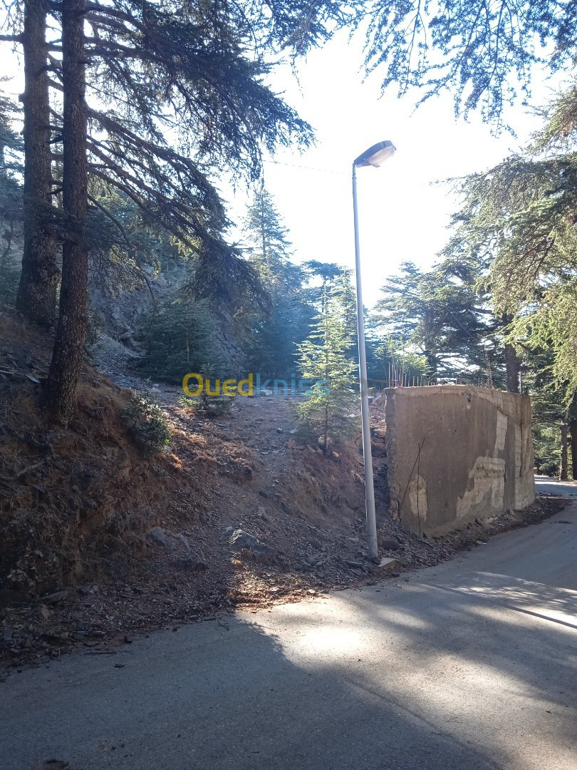 Vente Terrain Blida Chrea