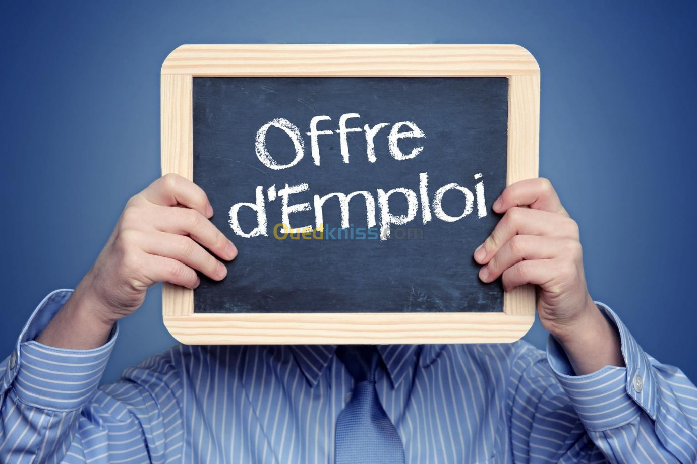 Offre D'emploi