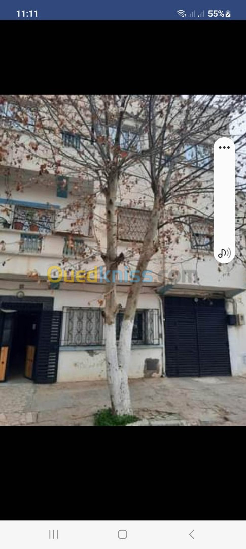 Vente Villa Tiaret Tiaret