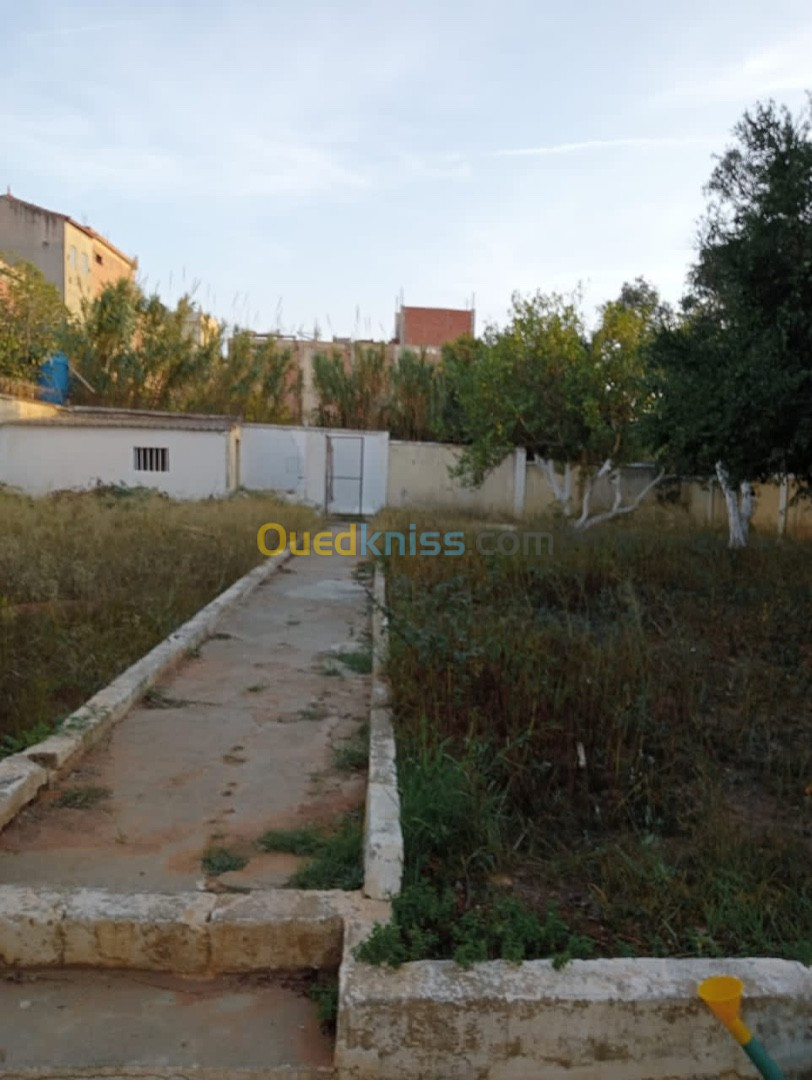 Vente Villa Alger Birkhadem