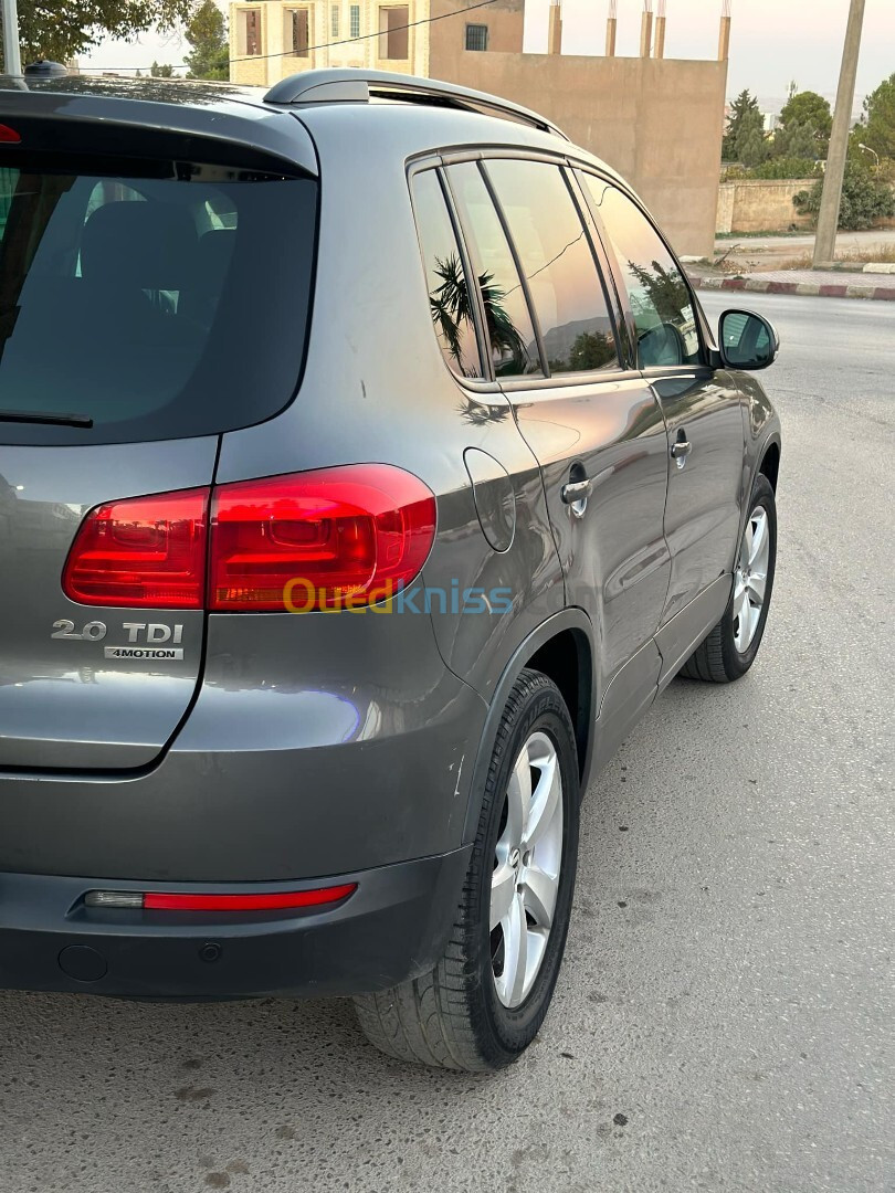 Volkswagen Tiguan 2013 Style