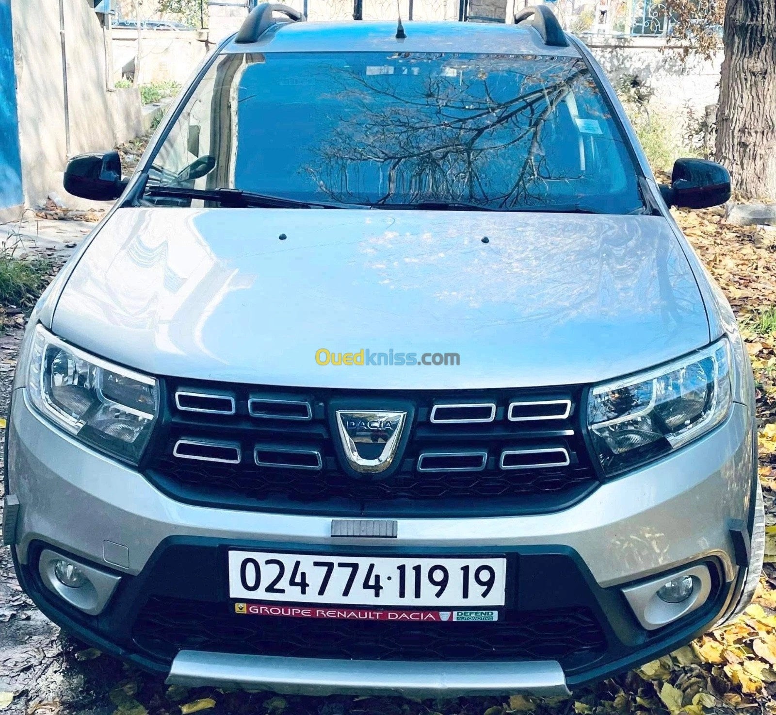 Dacia Sandero 2019 Sandero