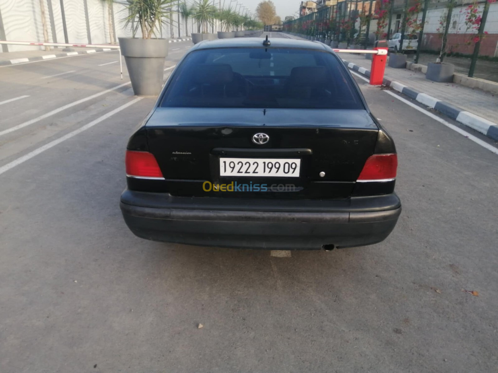 Toyota Starlet 1999 Starlet