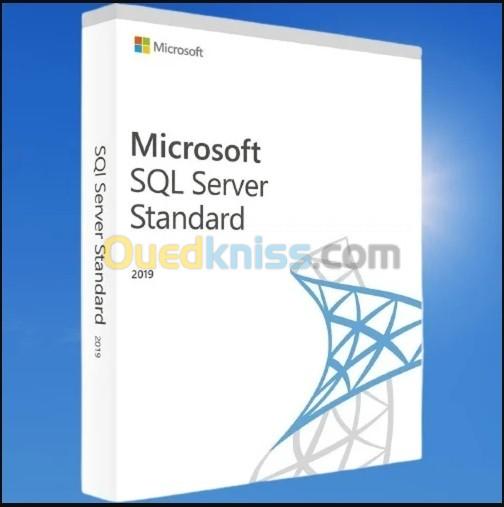 Microsoft SQL Server 2019 Standard Runtime coffret