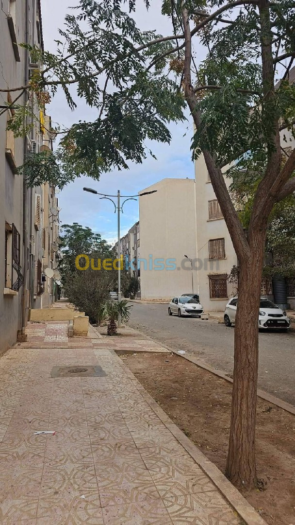 Location Appartement Sidi Bel Abbès Sidi bel abbes