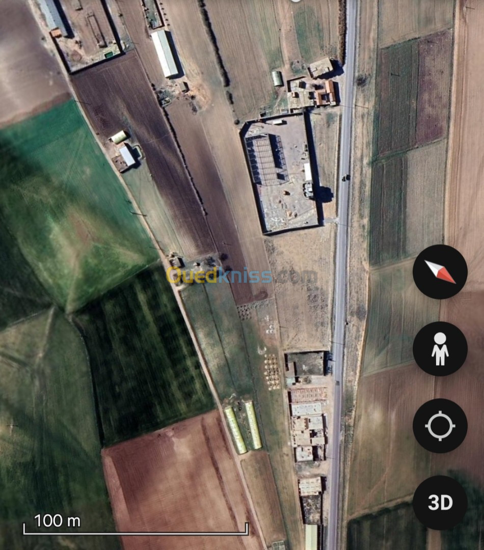 Vente Hangar Sétif Setif