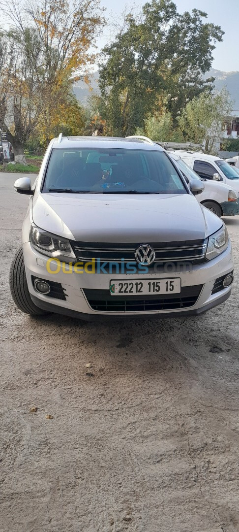 Volkswagen Tiguan 2015 Cup