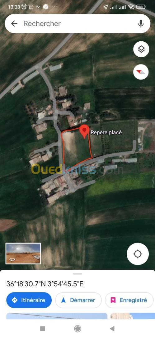 Vente Terrain Bouira Oued el berdi