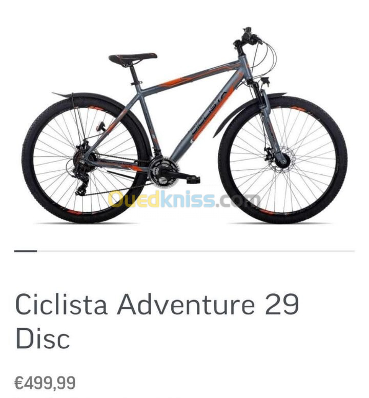 Vélo Adventure 29