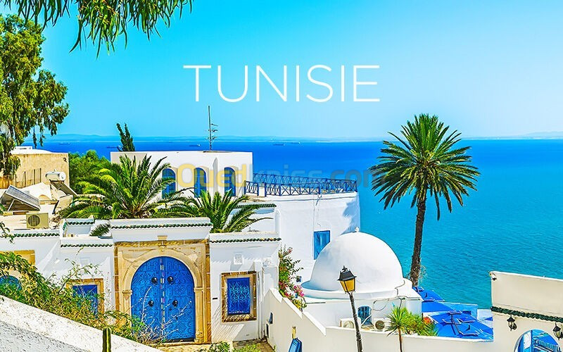 VOYAGE ORGANISE TUNISIE PAR AVION + TRANSFERT / 08 jours