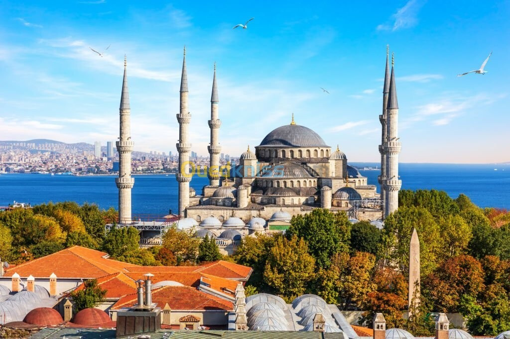 Voyage Organise a Istanbul   Réveillon 2025