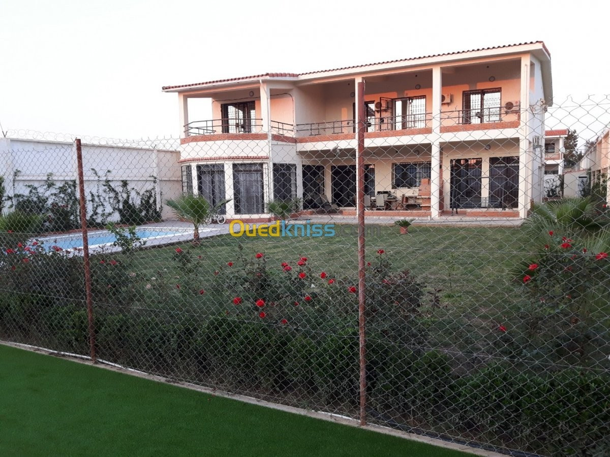 Vente Villa Blida Chebli